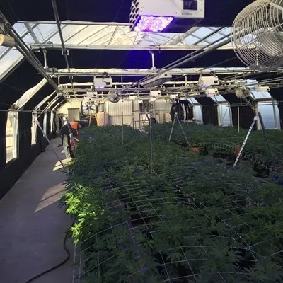 أنظمة تعتيم الدفيئة الآلية