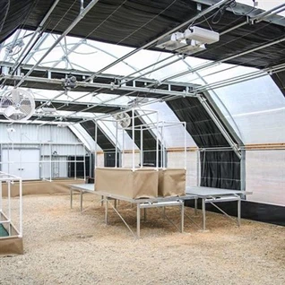 انقطاع التيار الكهربائي في الدفيئة